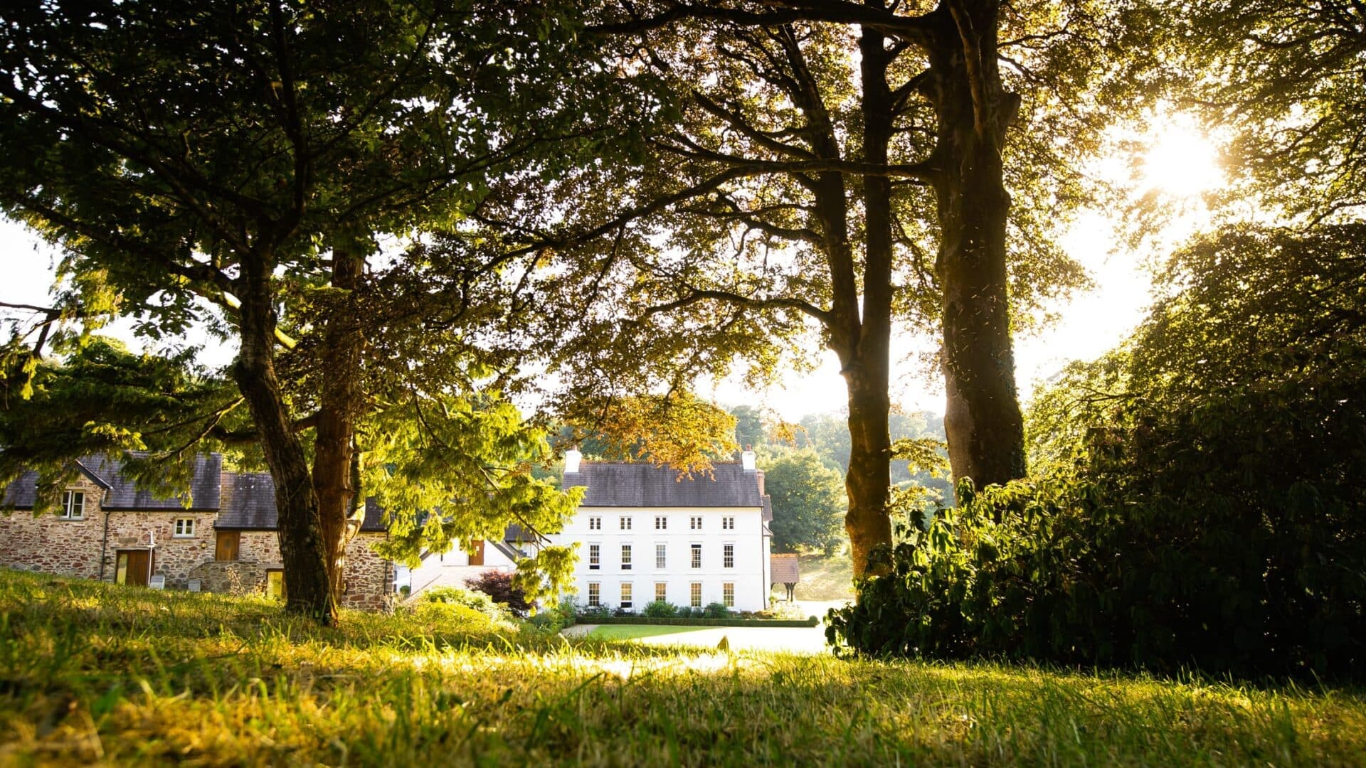Grove of Narberth — interior and exterior view 23