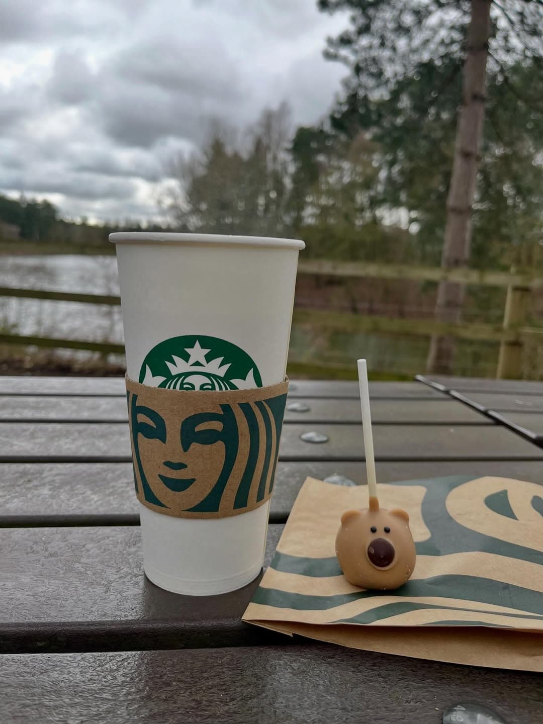 Center Parcs Treehouses — interior and exterior view 53