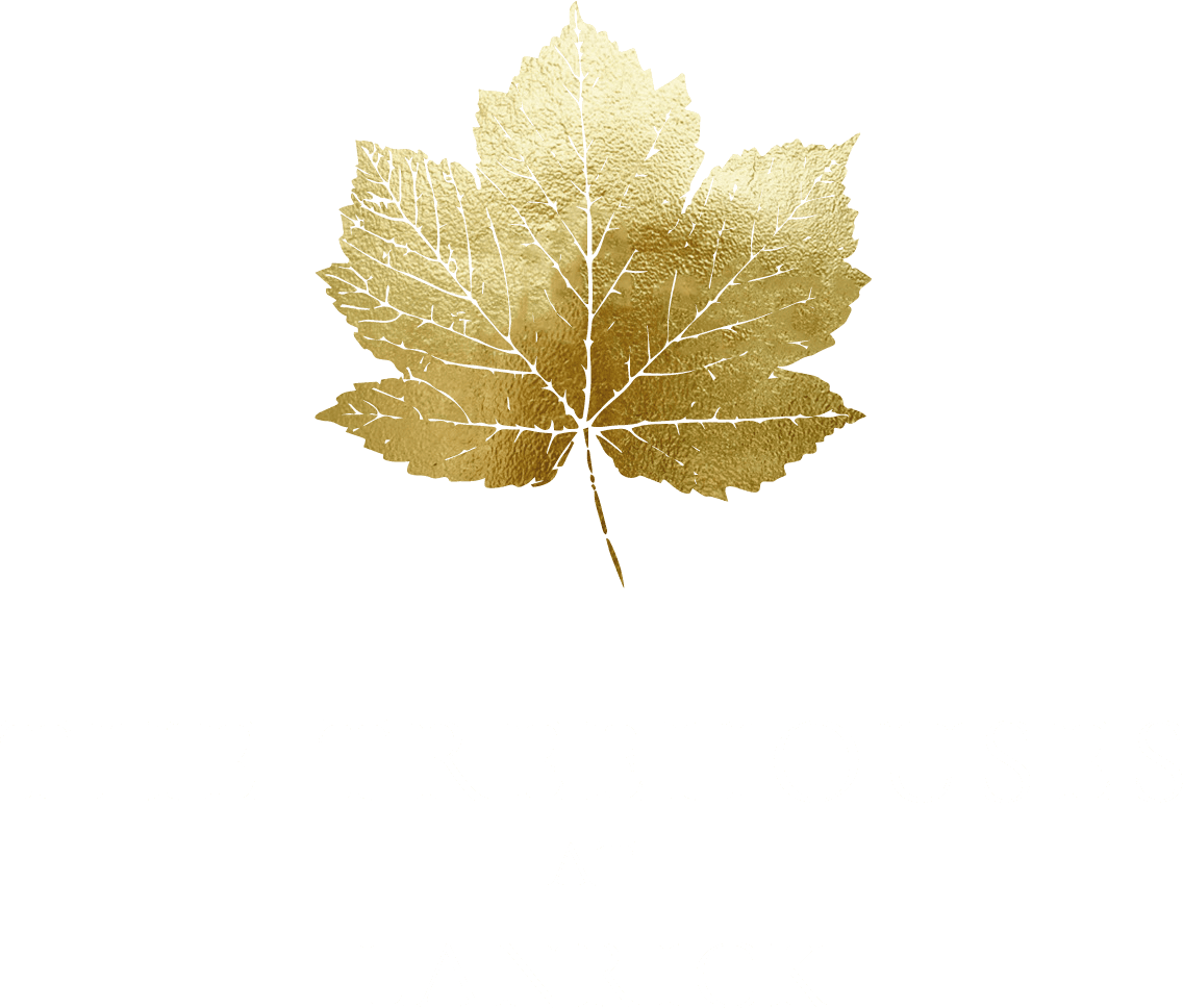 Lanrick Treehouses — interior and exterior view 7