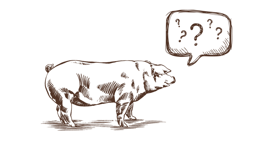 The Pig near Bath — interior and exterior view 37