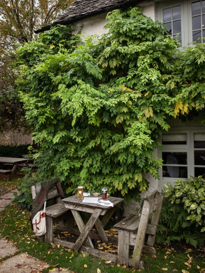 The Plough at Kelmscott — interior and exterior view 13
