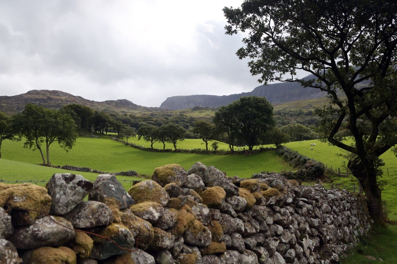 Penmaenuchaf Hall — interior and exterior view 9