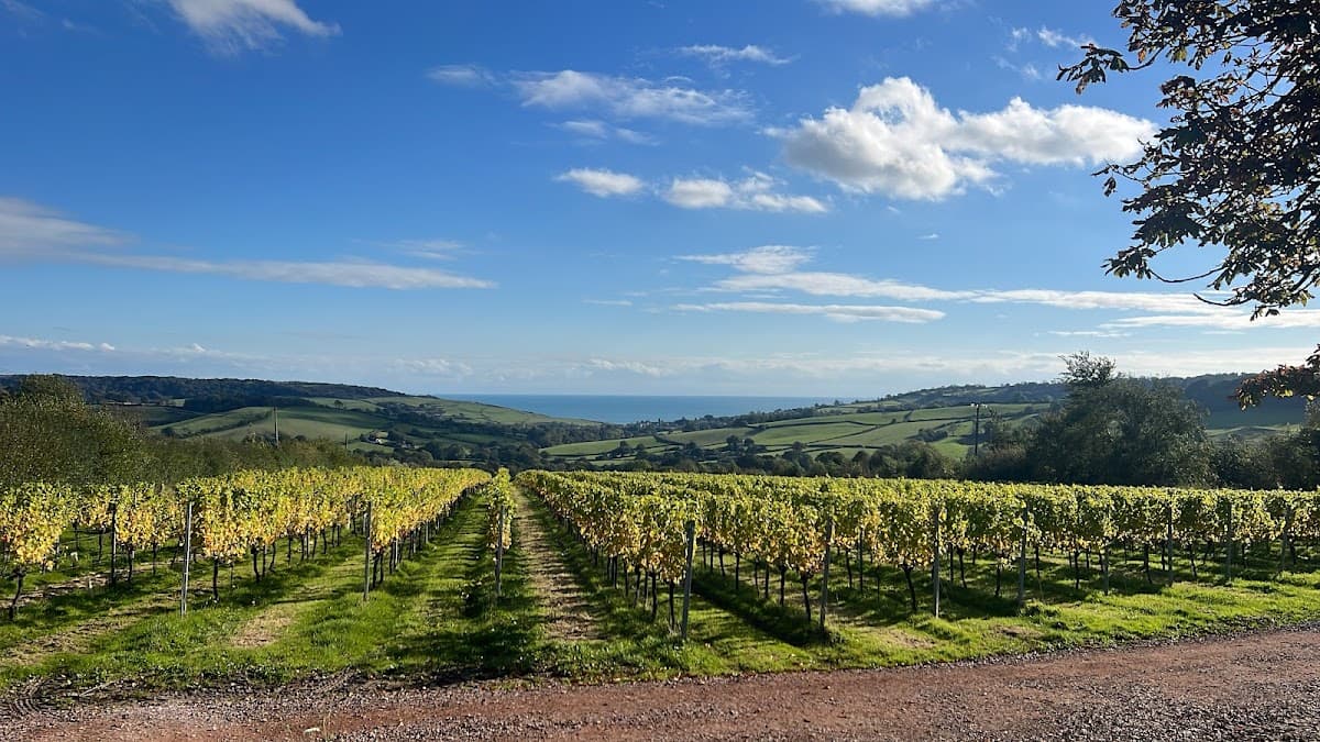 Louma Country Hotel — Dorset