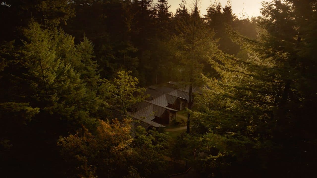 Center Parcs Treehouses — interior and exterior view 7
