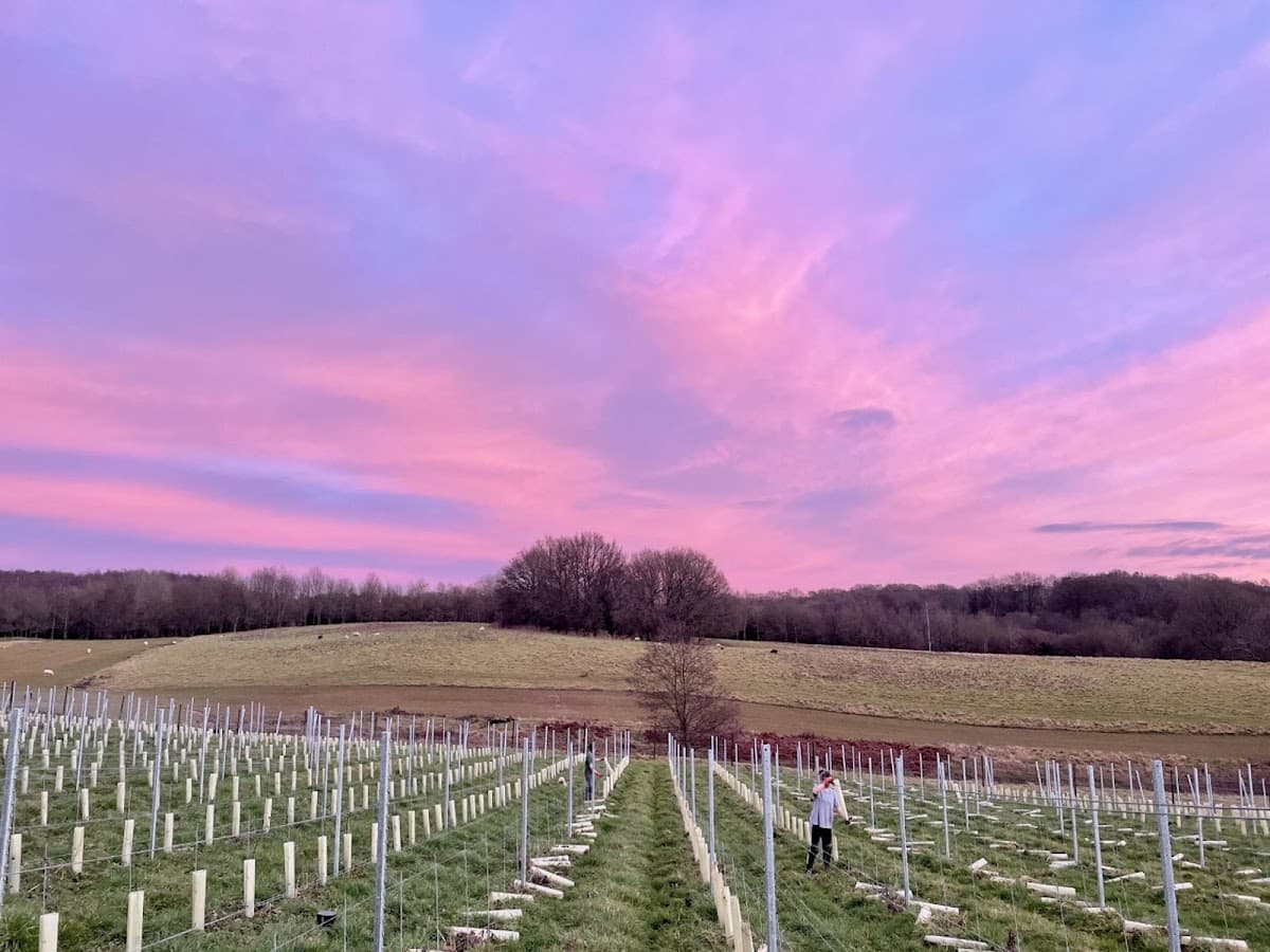 The Granary at Coes Vineyard — East Sussex