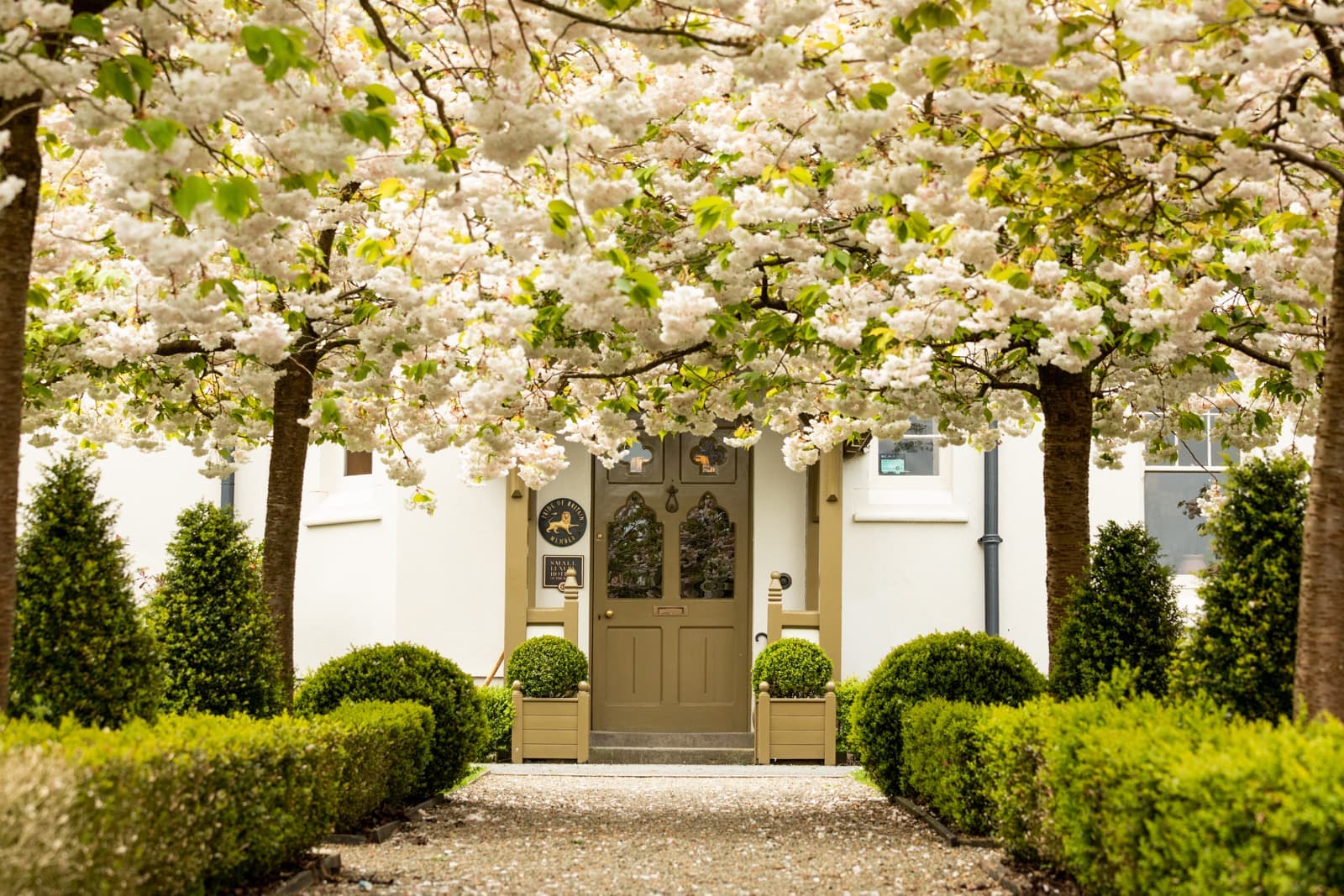 Grove of Narberth — interior and exterior view 17