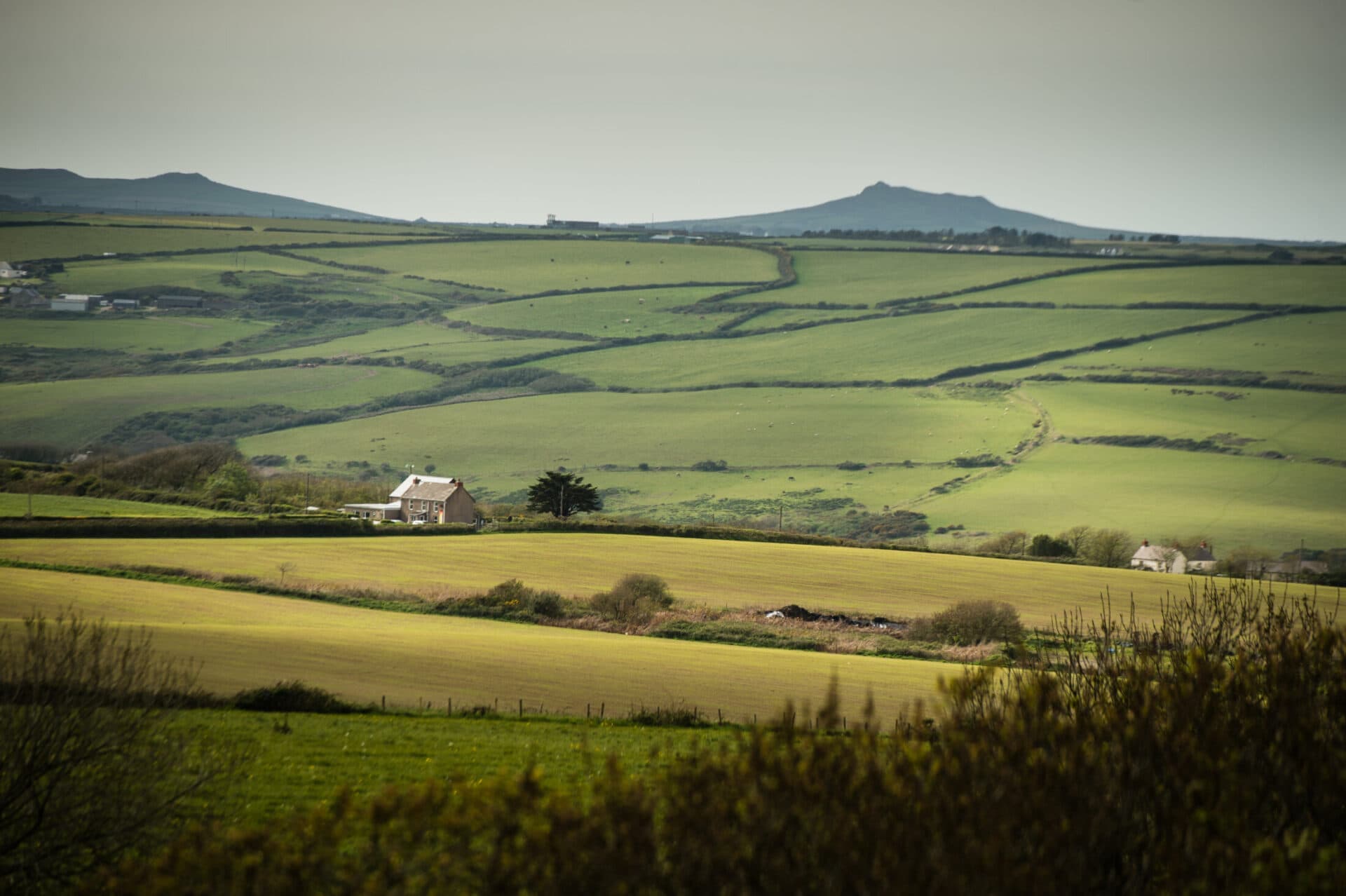 Grove of Narberth — interior and exterior view 9