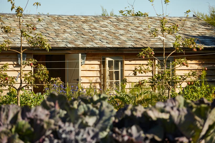 The Pig at Harlyn Bay — interior and exterior view 22