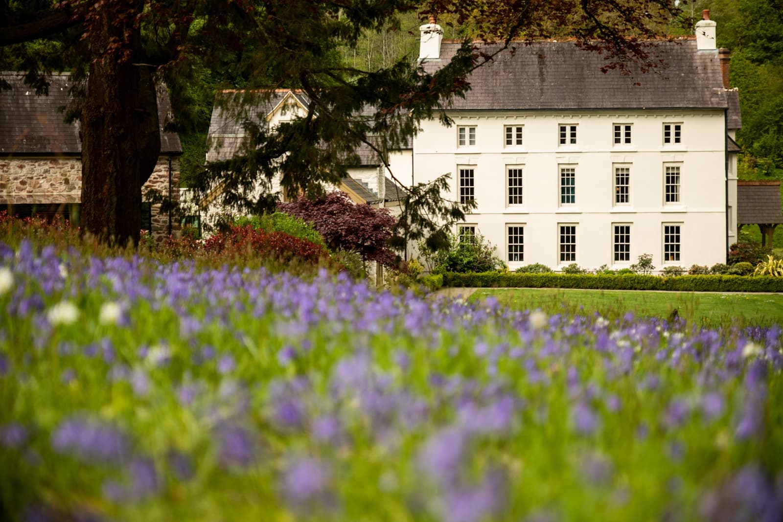 Grove of Narberth — interior and exterior view 18