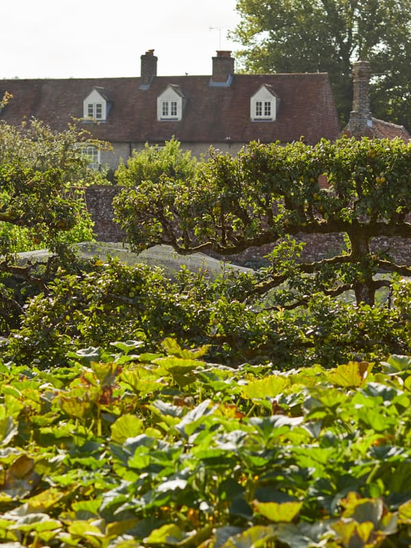 The Pig in the South Downs — interior and exterior view 9