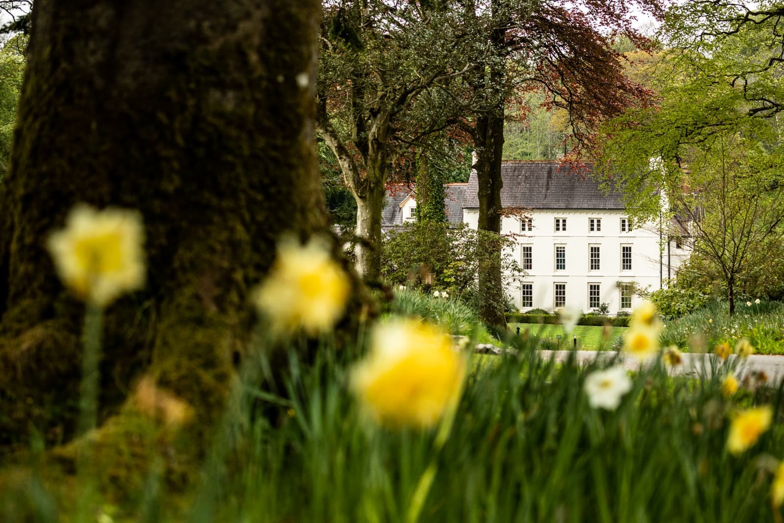Grove of Narberth — interior and exterior view 10