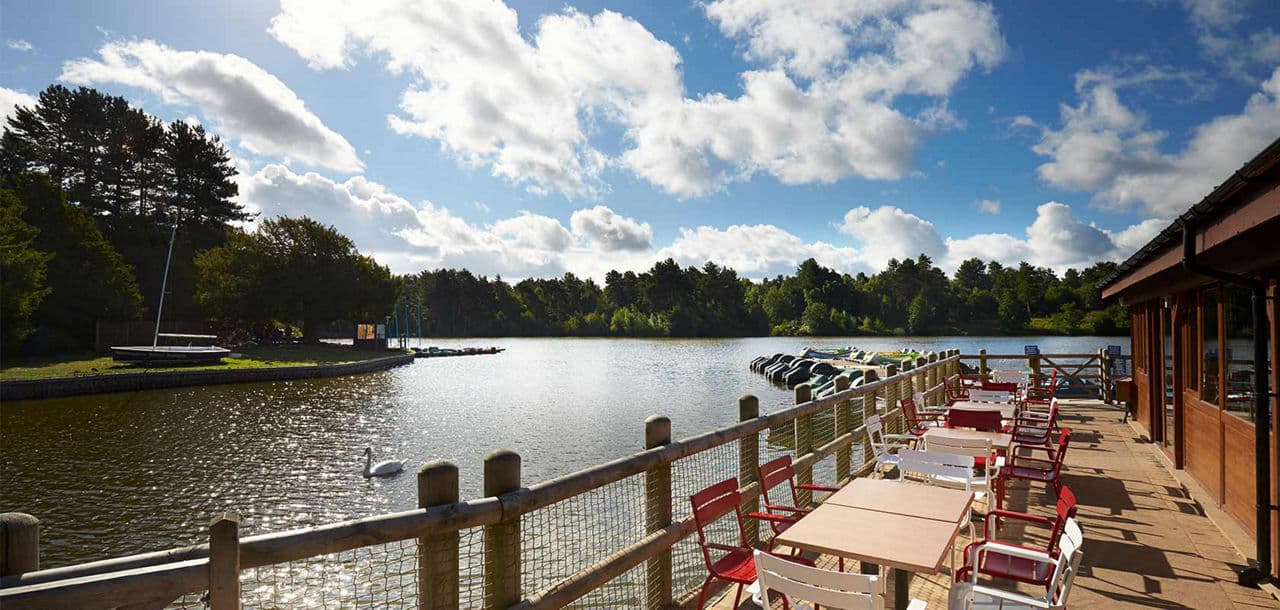 Center Parcs Treehouses — interior and exterior view 9