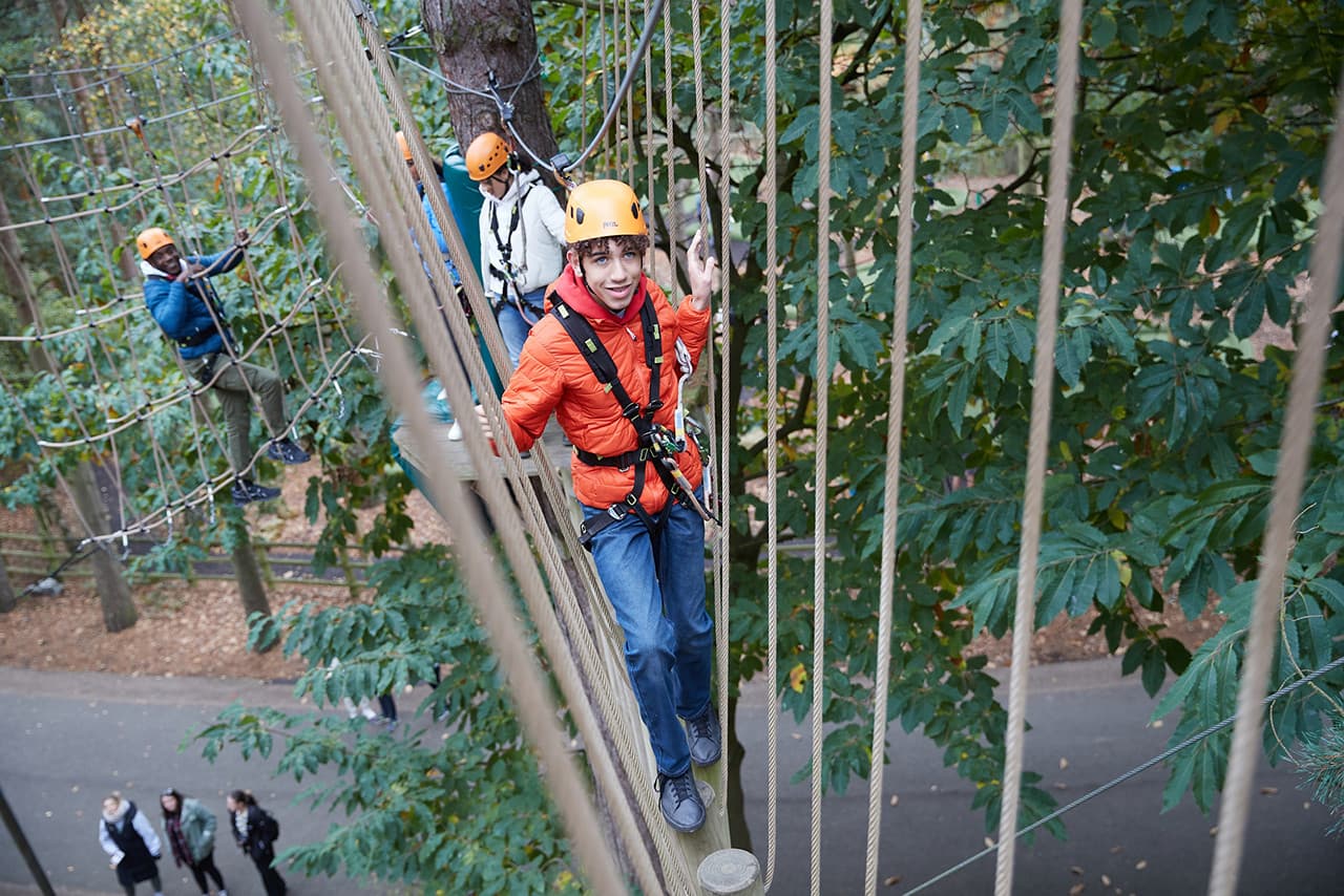 Center Parcs Treehouses — interior and exterior view 49