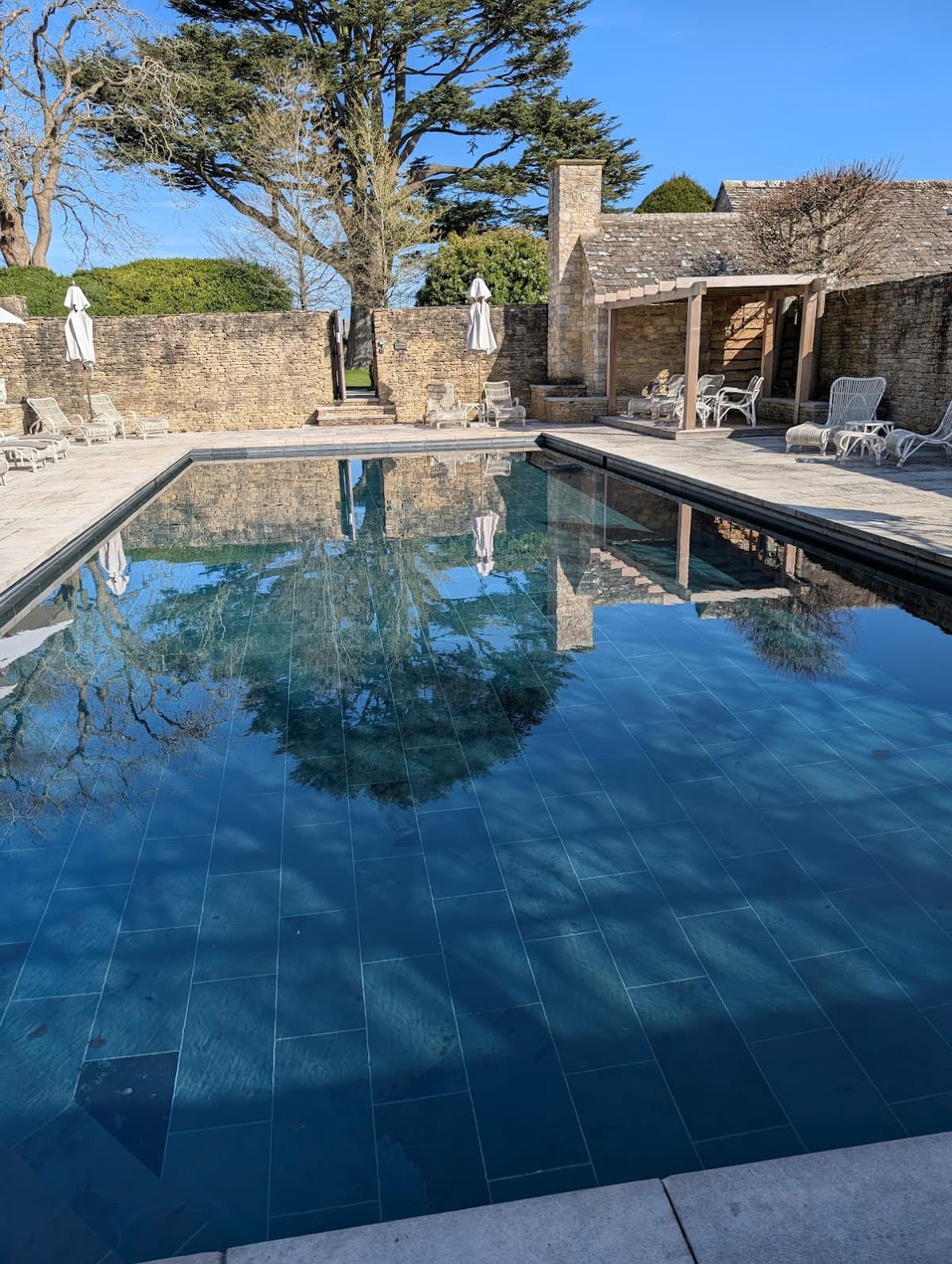 Thyme — interior and exterior view 3