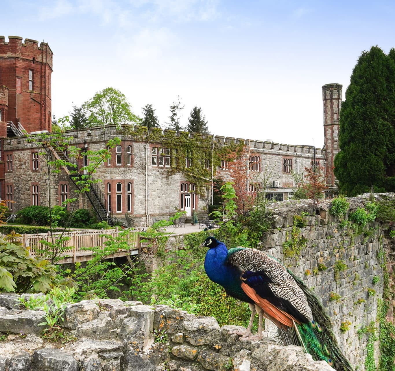 Ruthin Castle Hotel & Spa — interior and exterior view 7