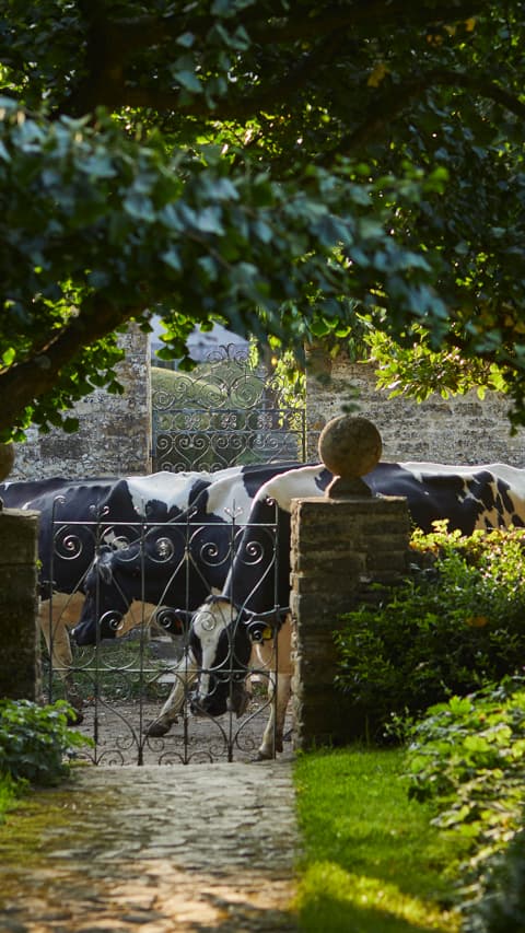 The Pig (original) — interior and exterior view 16